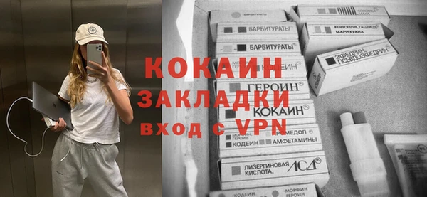 не бодяженный Ладушкин