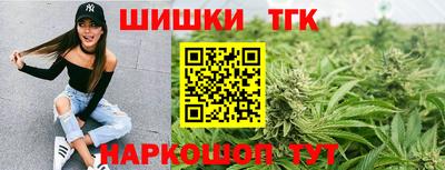 тгк Канаш