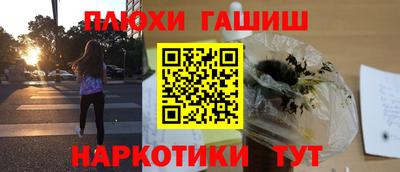сатива Камышлов