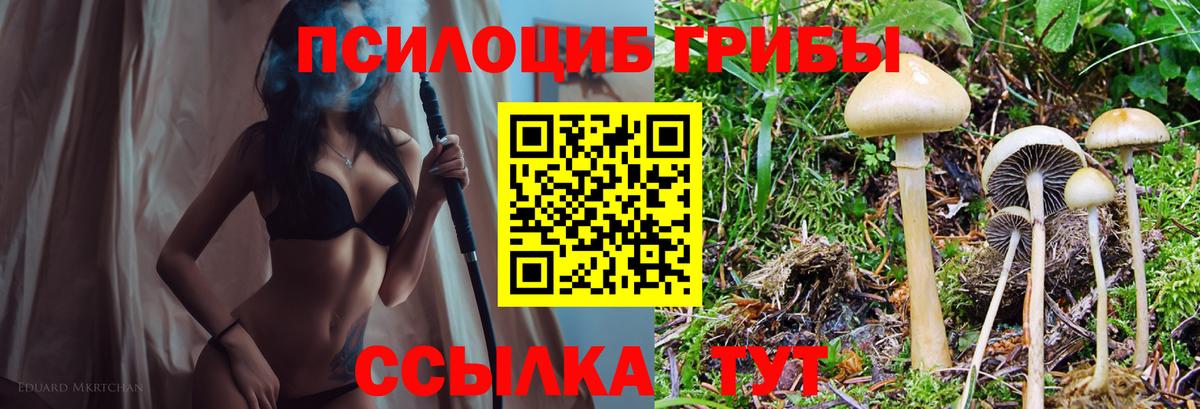 Михайловск  Псилоцибиновые грибы GOLDEN TEACHER  Галлюциногенные грибы Psilocybine cubensis  Вход с VPN 