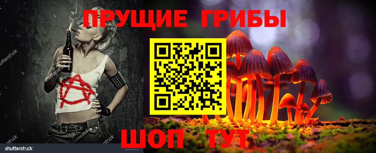Галлюциногенные грибы Psilocybe Михайловск